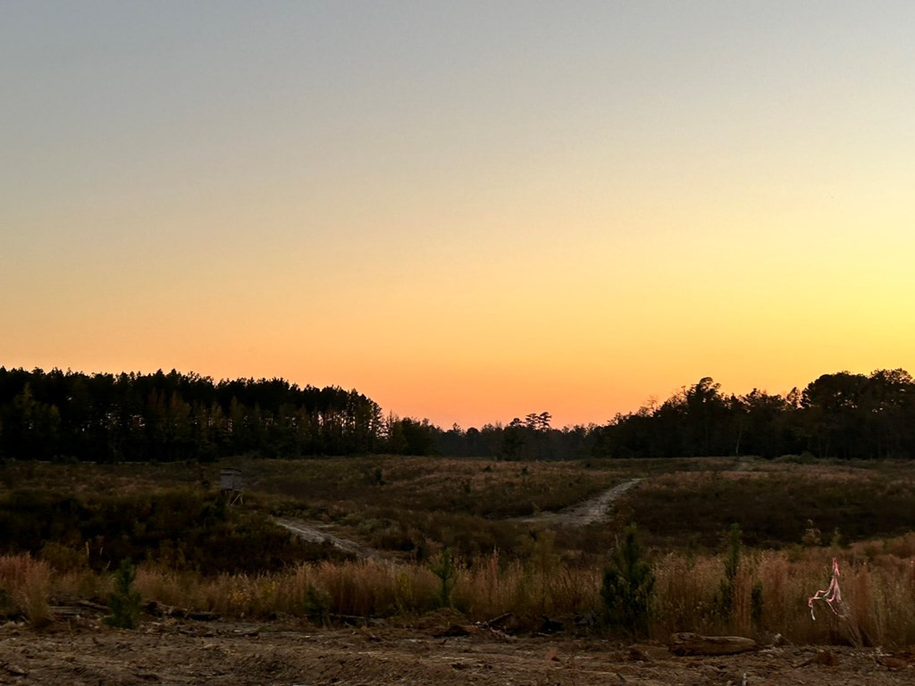 Undisclosed Address Liberty, MS 39645 - Photo 15 of 61 Photo 15