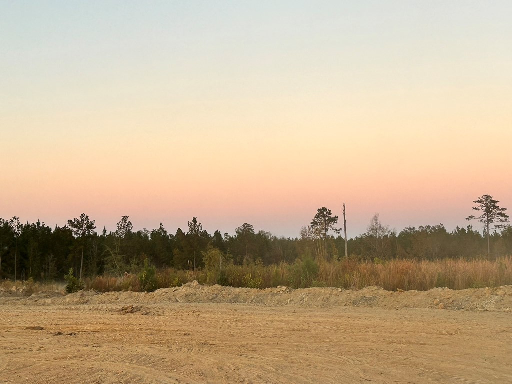 Undisclosed Address Liberty, MS 39645 - Photo 21 of 61 Photo 21