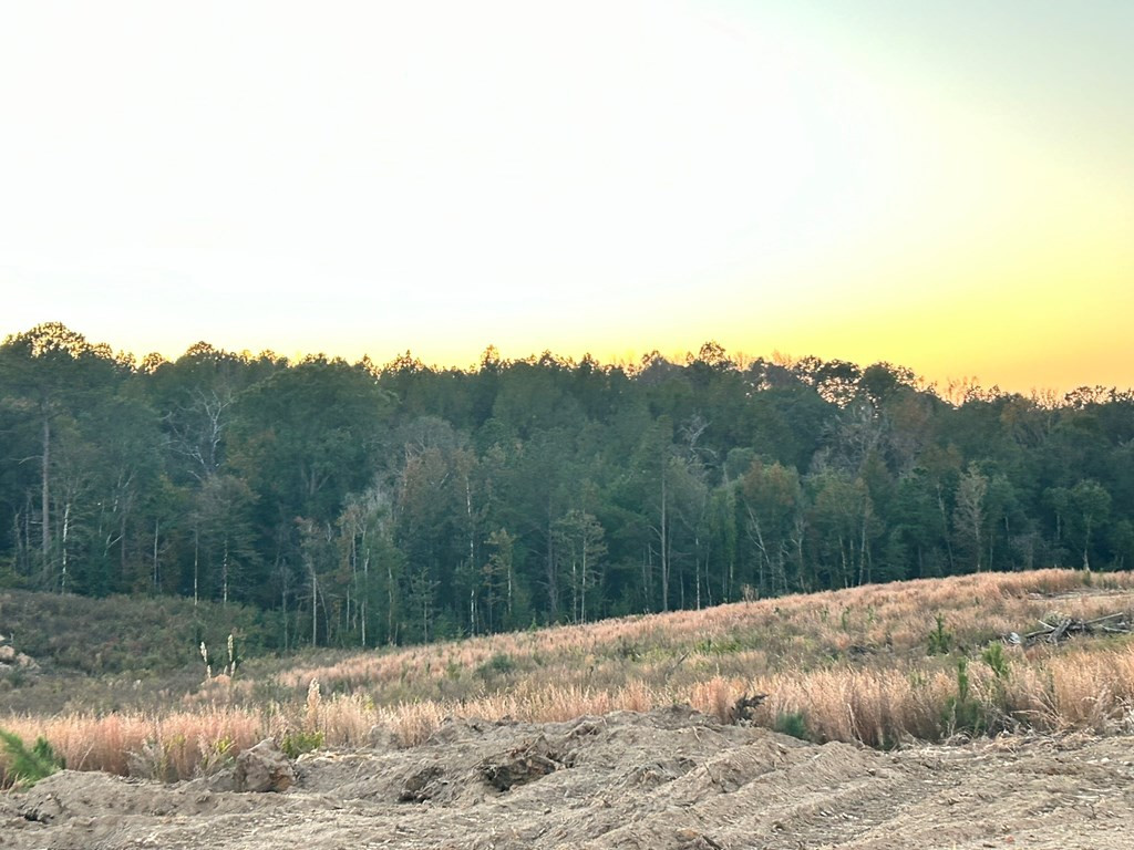 Undisclosed Address Liberty, MS 39645 - Photo 27 of 61 Photo 27