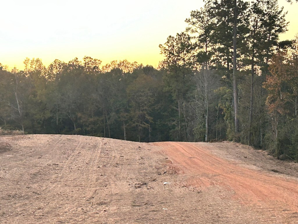 Undisclosed Address Liberty, MS 39645 - Photo 29 of 61 Photo 29