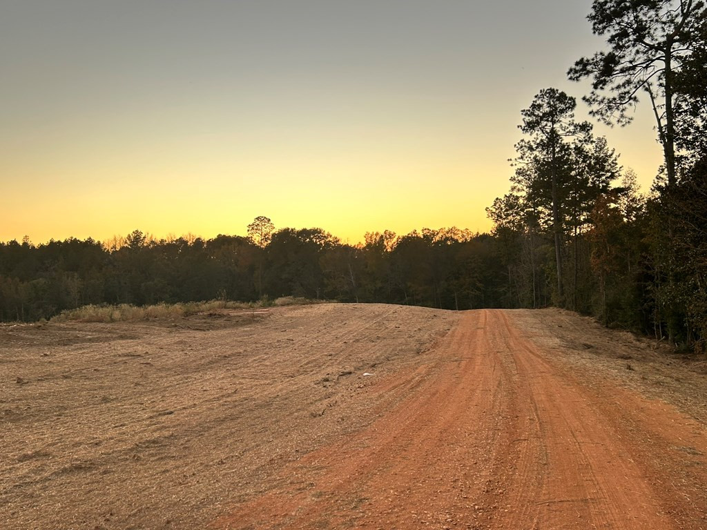 Undisclosed Address Liberty, MS 39645 - Photo 33 of 61 Photo 33