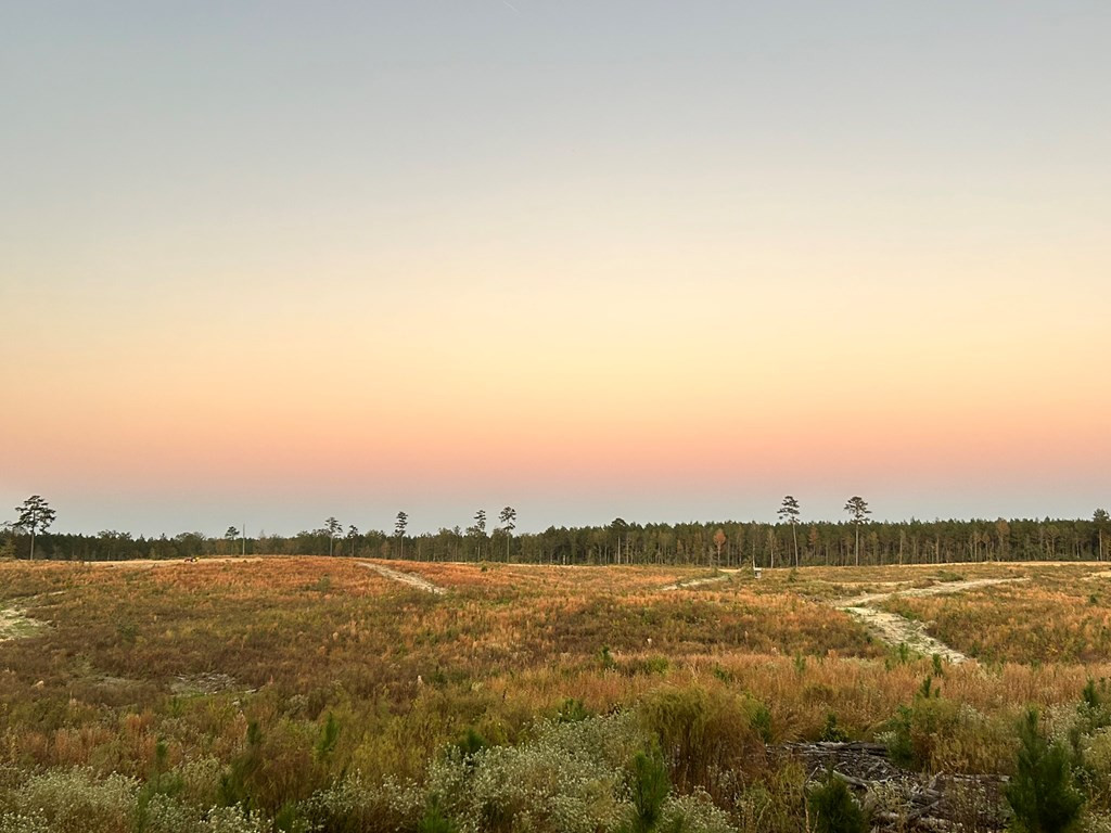 Undisclosed Address Liberty, MS 39645 - Photo 34 of 61 Photo 34