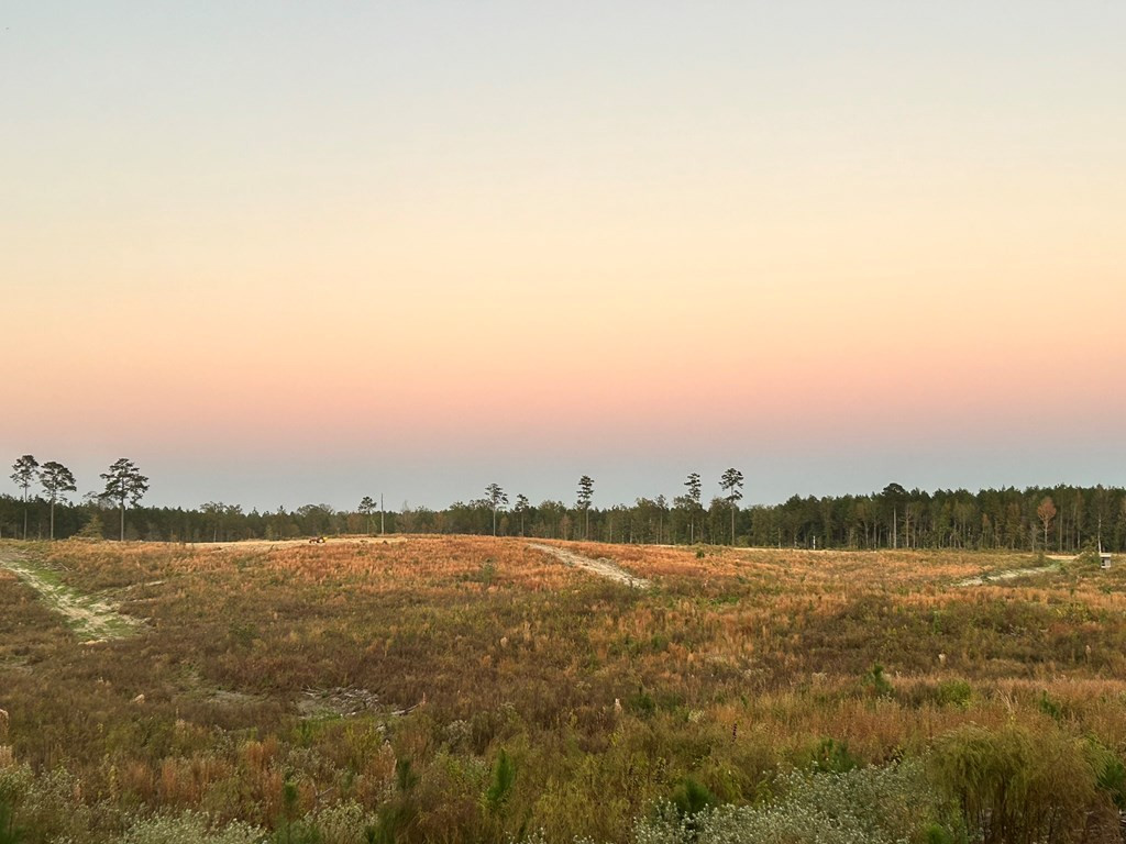 Undisclosed Address Liberty, MS 39645 - Photo 36 of 61 Photo 36
