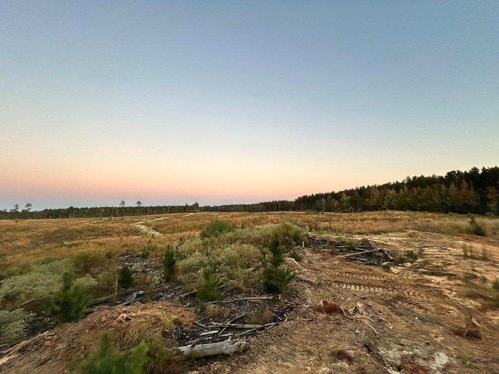 Undisclosed Address Liberty, MS 39645 - Photo 38 of 61 Photo 38