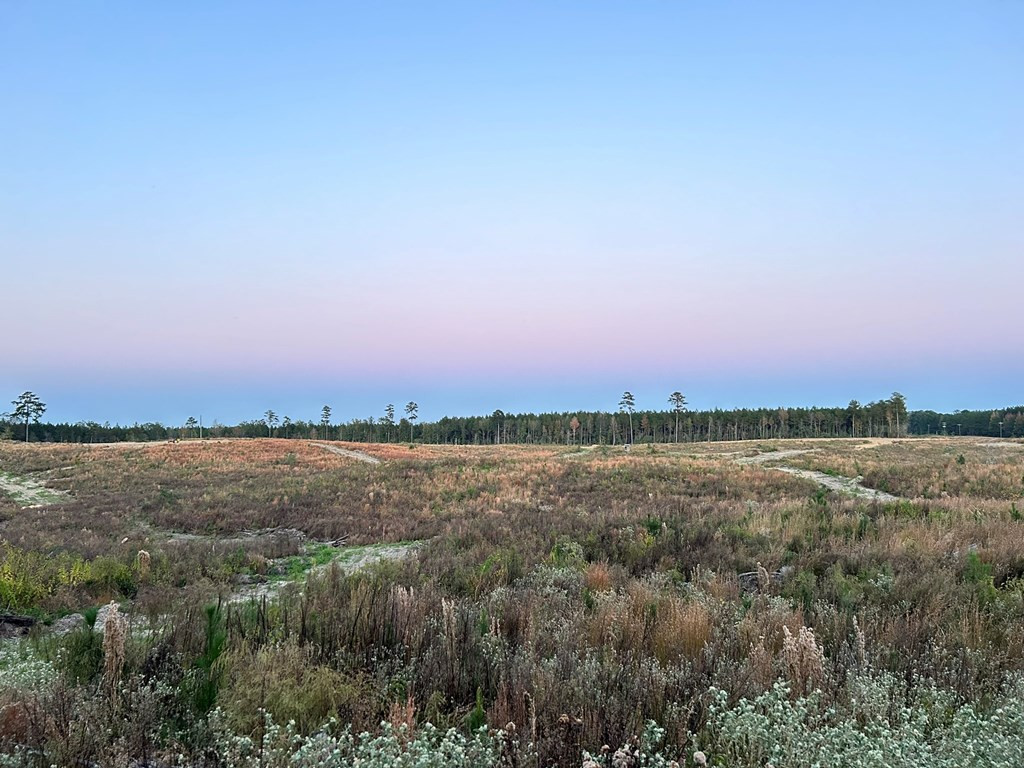 Undisclosed Address Liberty, MS 39645 - Photo 46 of 61 Photo 46