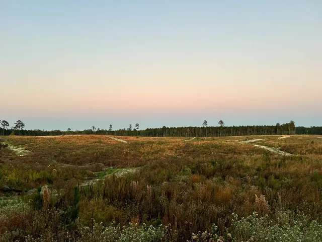 $58,200 | Undisclosed Address, Liberty, MS 39645