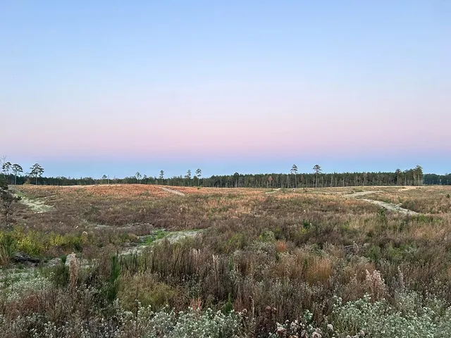 $58,200 | Undisclosed Address, Liberty, MS 39645