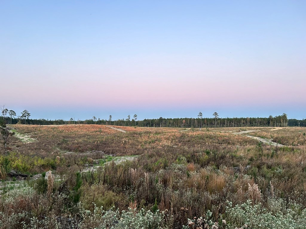 Undisclosed Address Liberty, MS 39645 - Photo 49 of 61 Photo 49