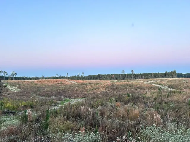 $58,200 | Undisclosed Address, Liberty, MS 39645