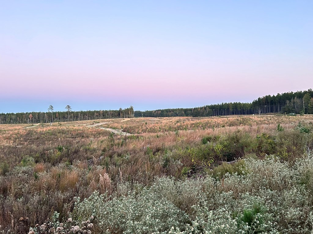 Undisclosed Address Liberty, MS 39645 - Photo 54 of 61 Photo 54
