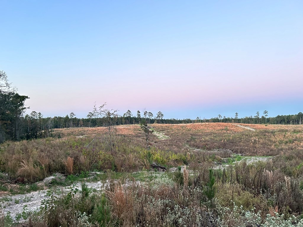 Undisclosed Address Liberty, MS 39645 - Photo 56 of 61 Photo 56