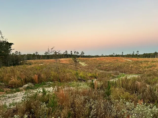 $58,200 | Undisclosed Address, Liberty, MS 39645