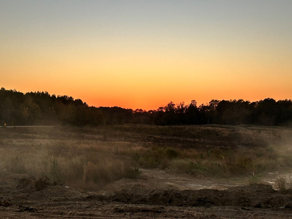 Undisclosed Address Liberty, MS 39645 - Photo 7 of 61 Photo 7