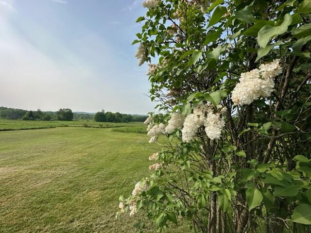 544 W Road Monticello, ME 04760 - Photo 8 of 30 IMG_2021