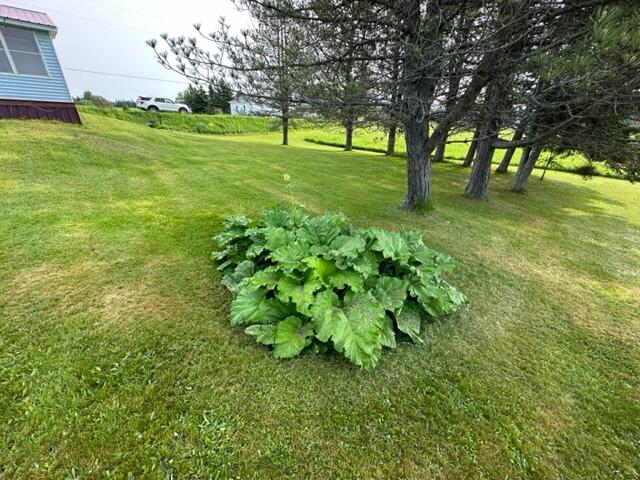 544 W Road Monticello, ME 04760 - Photo 9 of 30 IMG_2022