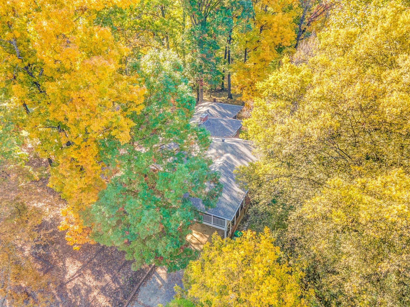 2725 Covington Pike Memphis, TN 38128 - Photo 20 of 26 a close up of a tree in a yard