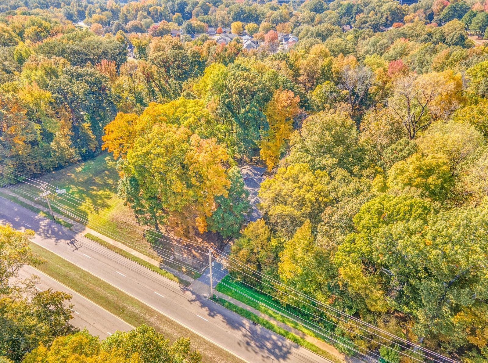 2725 Covington Pike Memphis, TN 38128 - Photo 21 of 26 a view of a yard