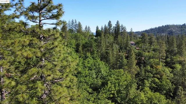 $34,995 | 23804 South Oxbow Lane, Sonora, CA 95370