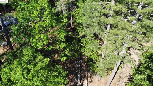 $34,995 | 23804 South Oxbow Lane, Sonora, CA 95370