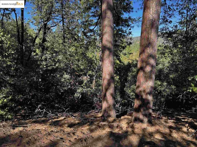 $34,995 | 23804 South Oxbow Lane, Sonora, CA 95370