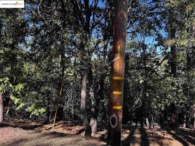 $34,995 | 23804 South Oxbow Lane, Sonora, CA 95370