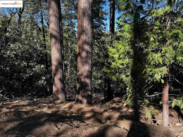 $34,995 | 23804 South Oxbow Lane, Sonora, CA 95370