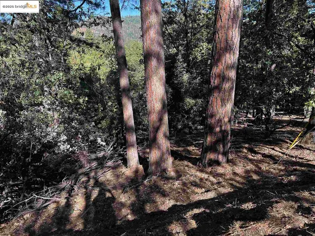 $34,995 | 23804 South Oxbow Lane, Sonora, CA 95370