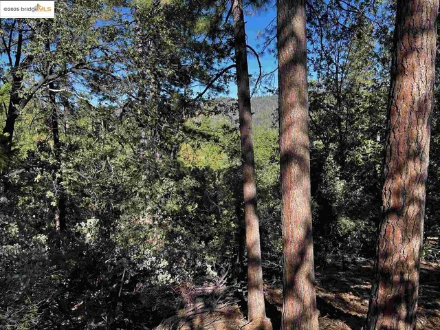 $34,995 | 23804 South Oxbow Lane, Sonora, CA 95370