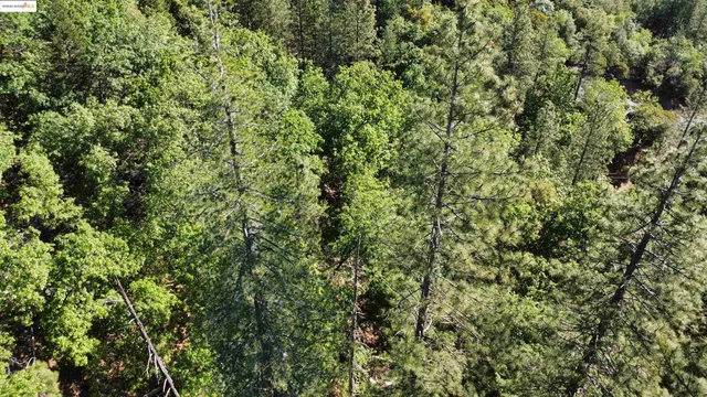 $34,995 | 23804 South Oxbow Lane, Sonora, CA 95370