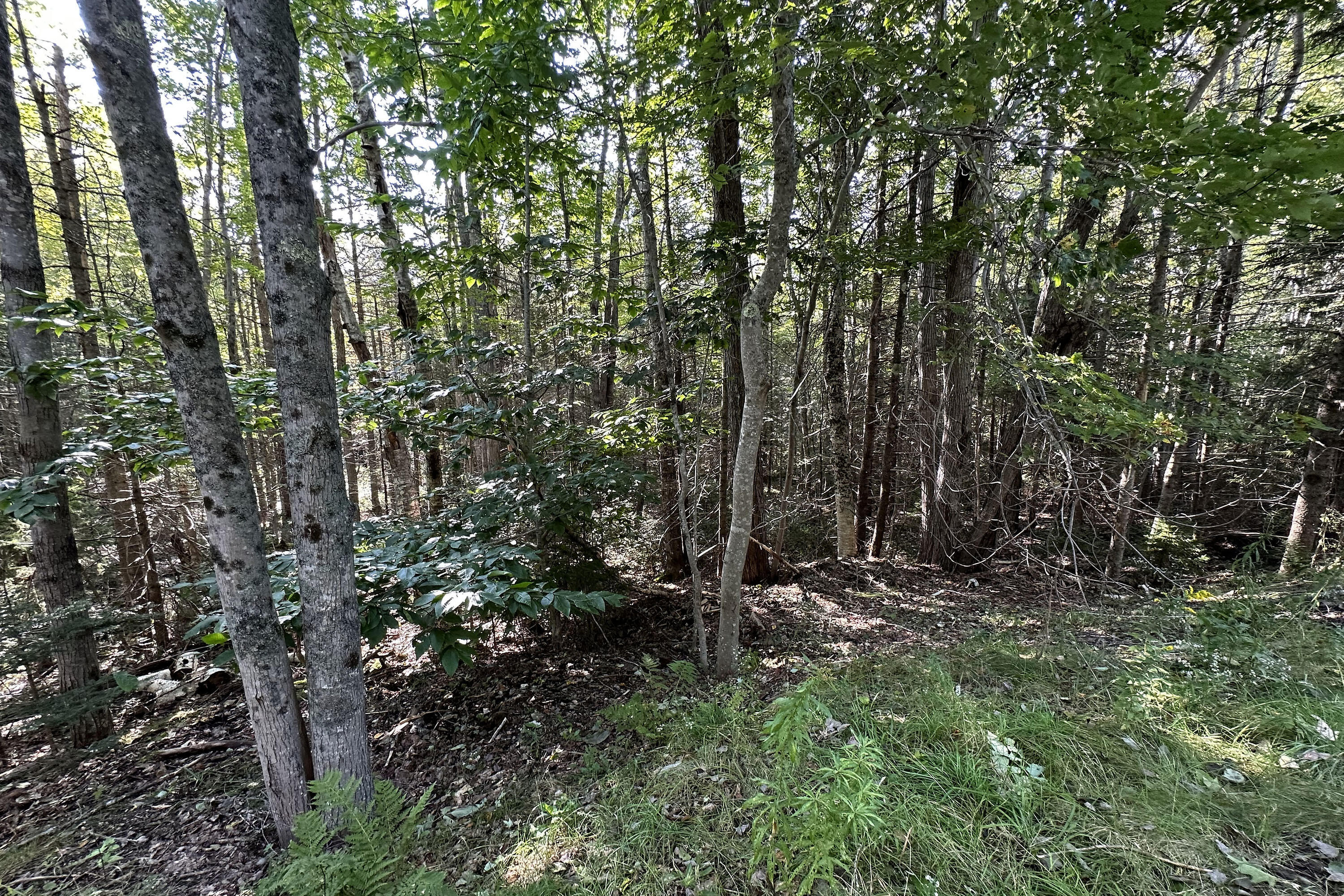 0 Cross Road Sedgwick, ME 04676 - Photo 7 of 24