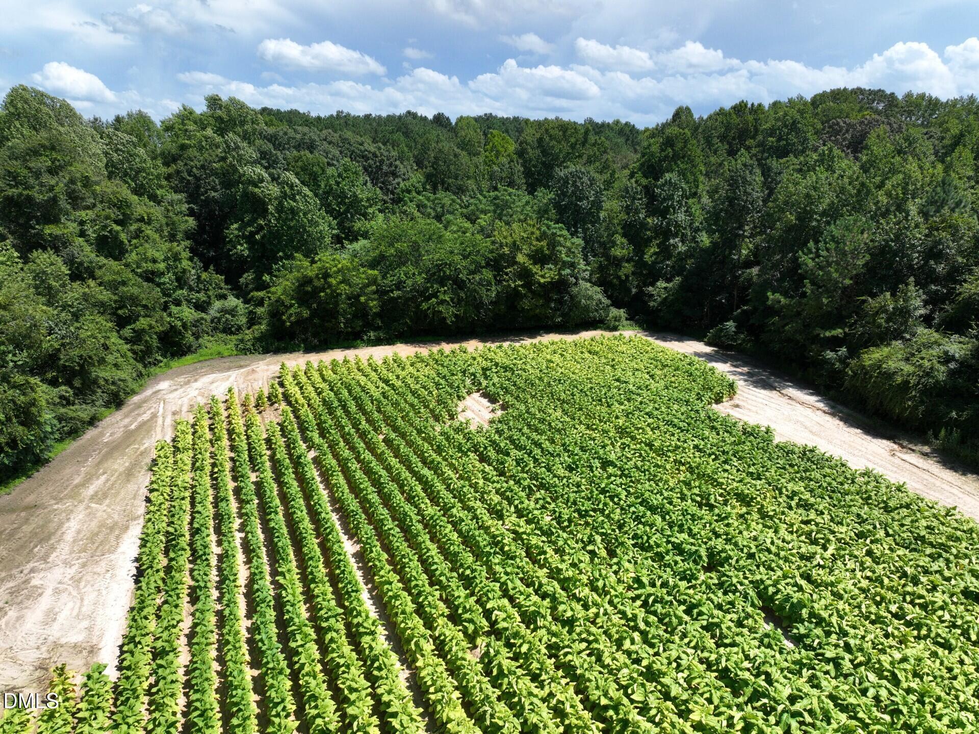 Lot 2 River Run Road Selma, NC 27576 - Photo 18 of 25 Pic 18 Selma