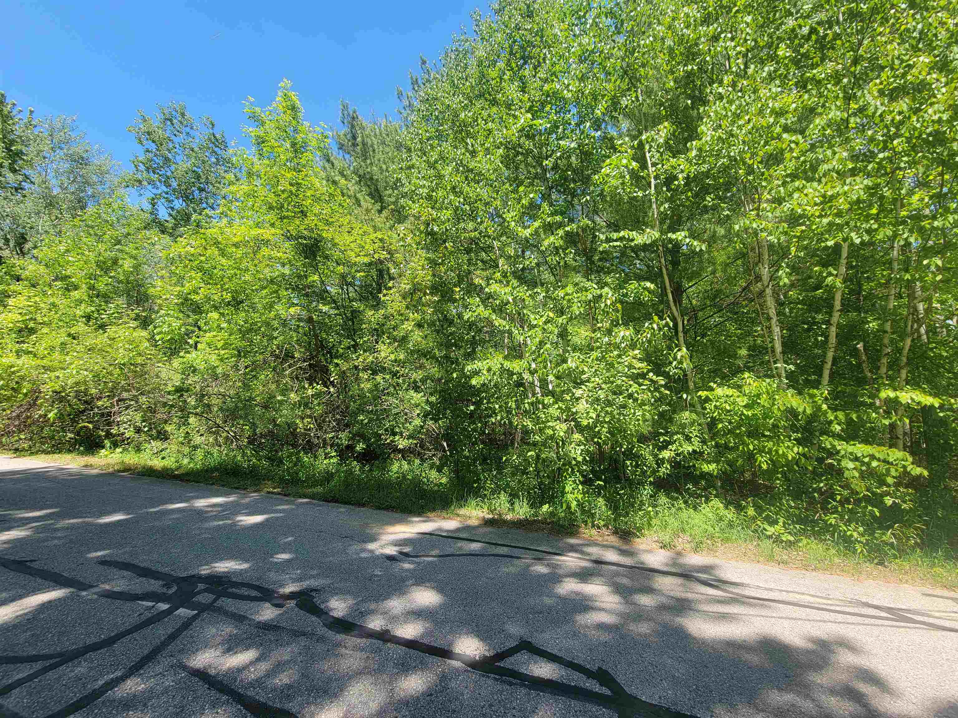 Vl Maple Street Gladwin, MI 48624 - Photo 3 of 6