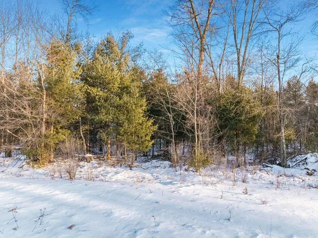 $32,500 | 2.6-acres North Hayden Street, Merrillan, WI 54754