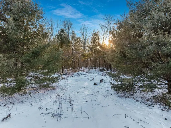 $32,500 | 2.6-acres North Hayden Street, Merrillan, WI 54754