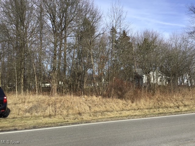 State Road Warren, OH 44481 - Photo 2 of 6 Gallery Image 2