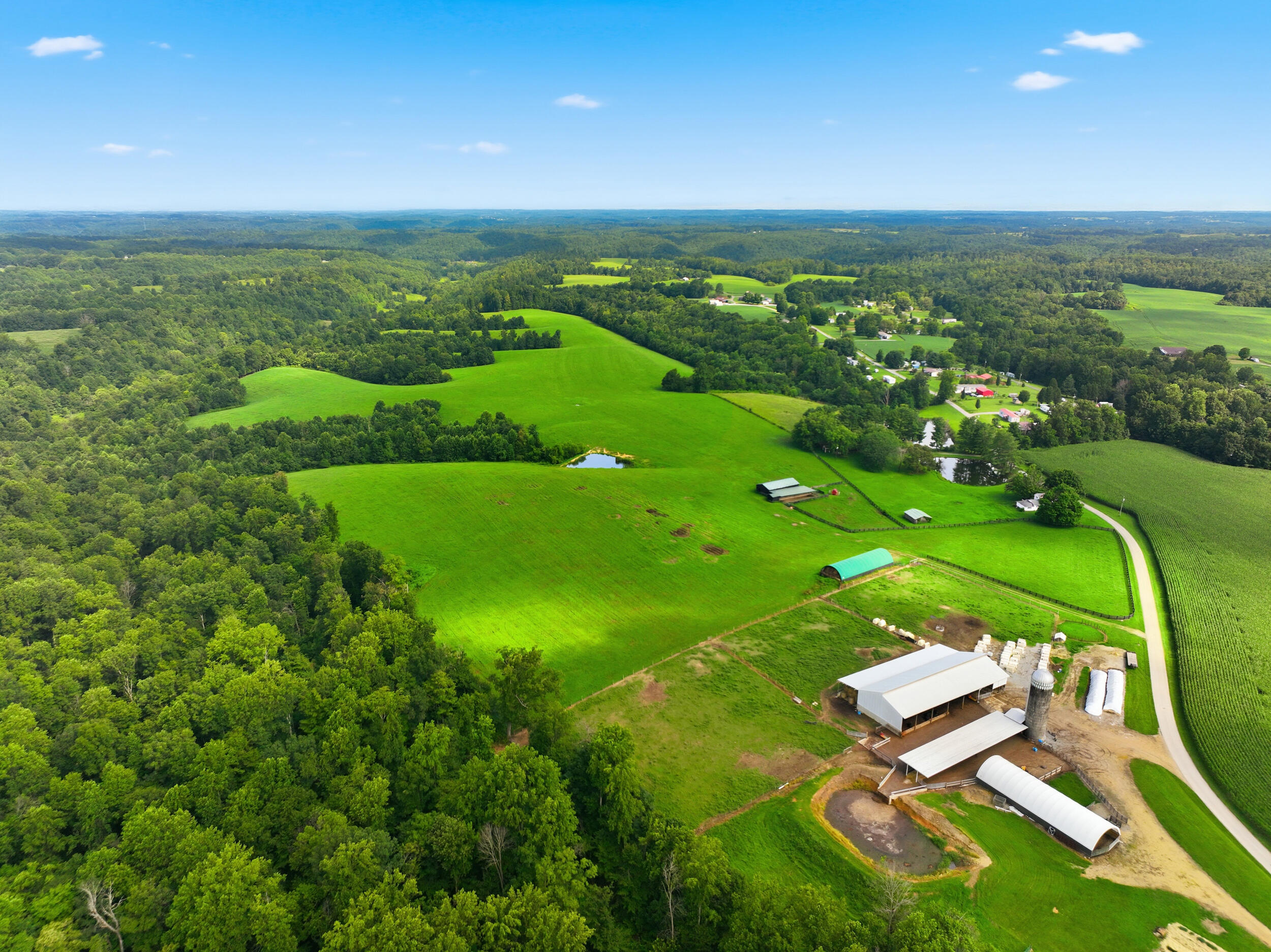 1219 Blevins Road Liberty, KY 42539 - Photo 17 of 37 dji_0332