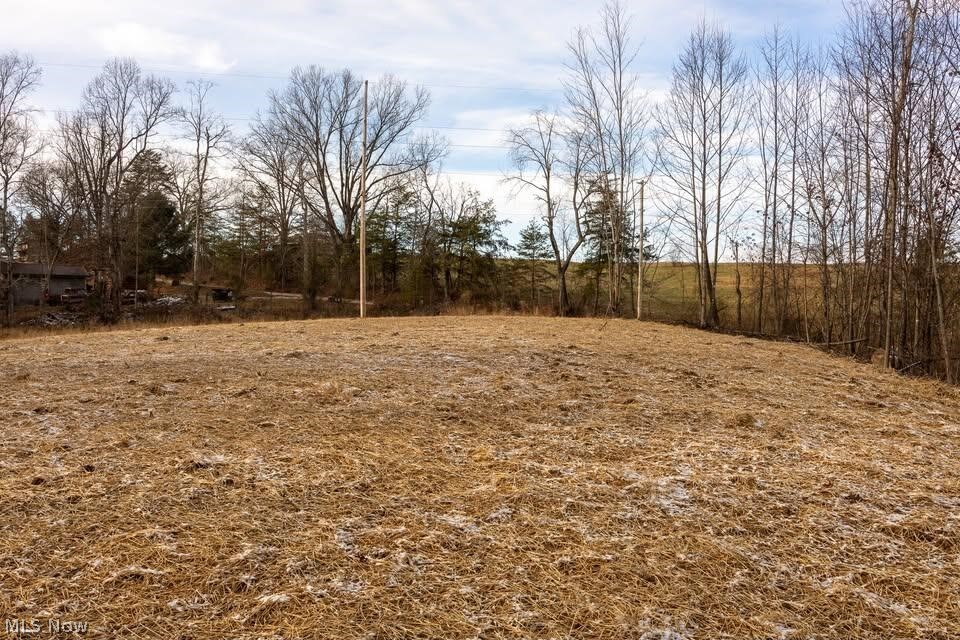 0 Holbrook Road Beaver, OH 45613 - Photo 8 of 12