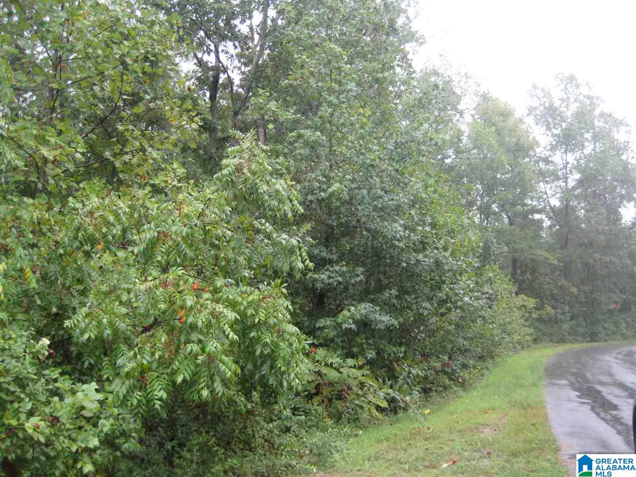 37 Friendship Mountain Lane, Unit 37 Springville, AL 35146 - Photo 4 of 5