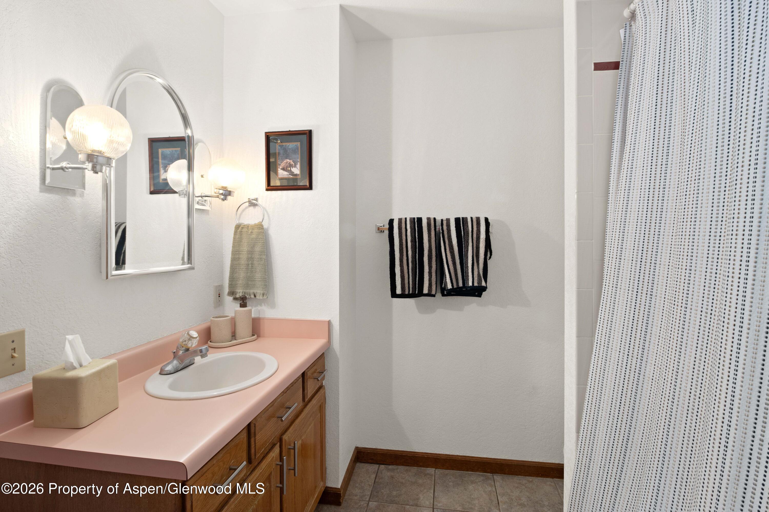 56 Sagewood Court Basalt, CO 81621 - Photo 12 of 24 bathroom