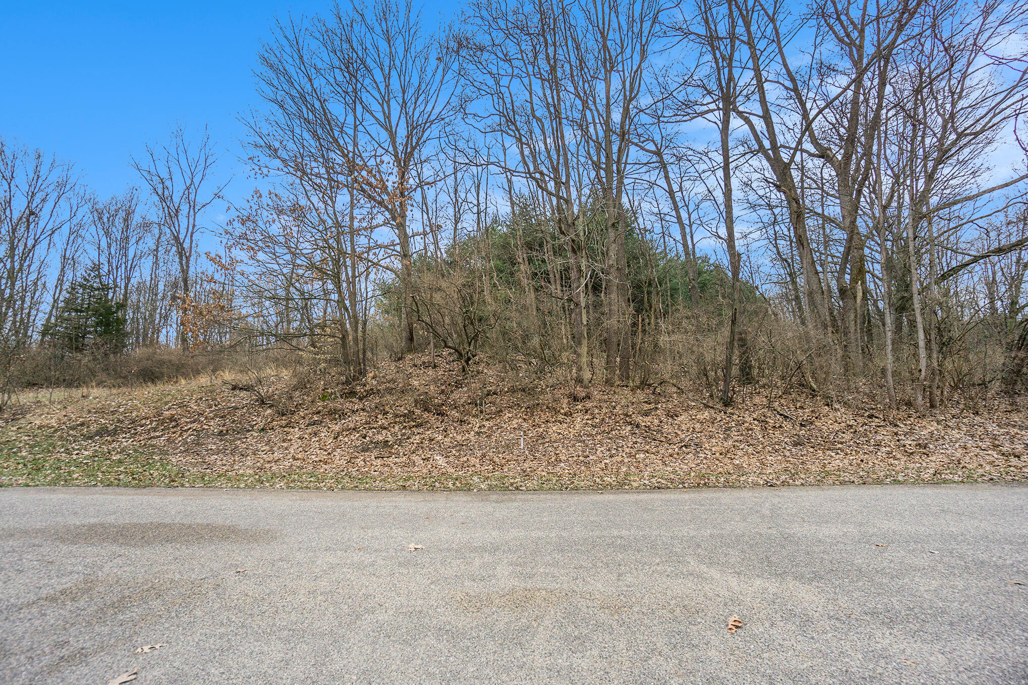 Lot 6 Highfield Road Three Rivers, MI 49093 - Photo 11 of 24 DSC05078