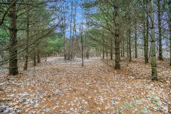 $56,688 | Lot 6 Highfield Road, Three Rivers, MI 49093