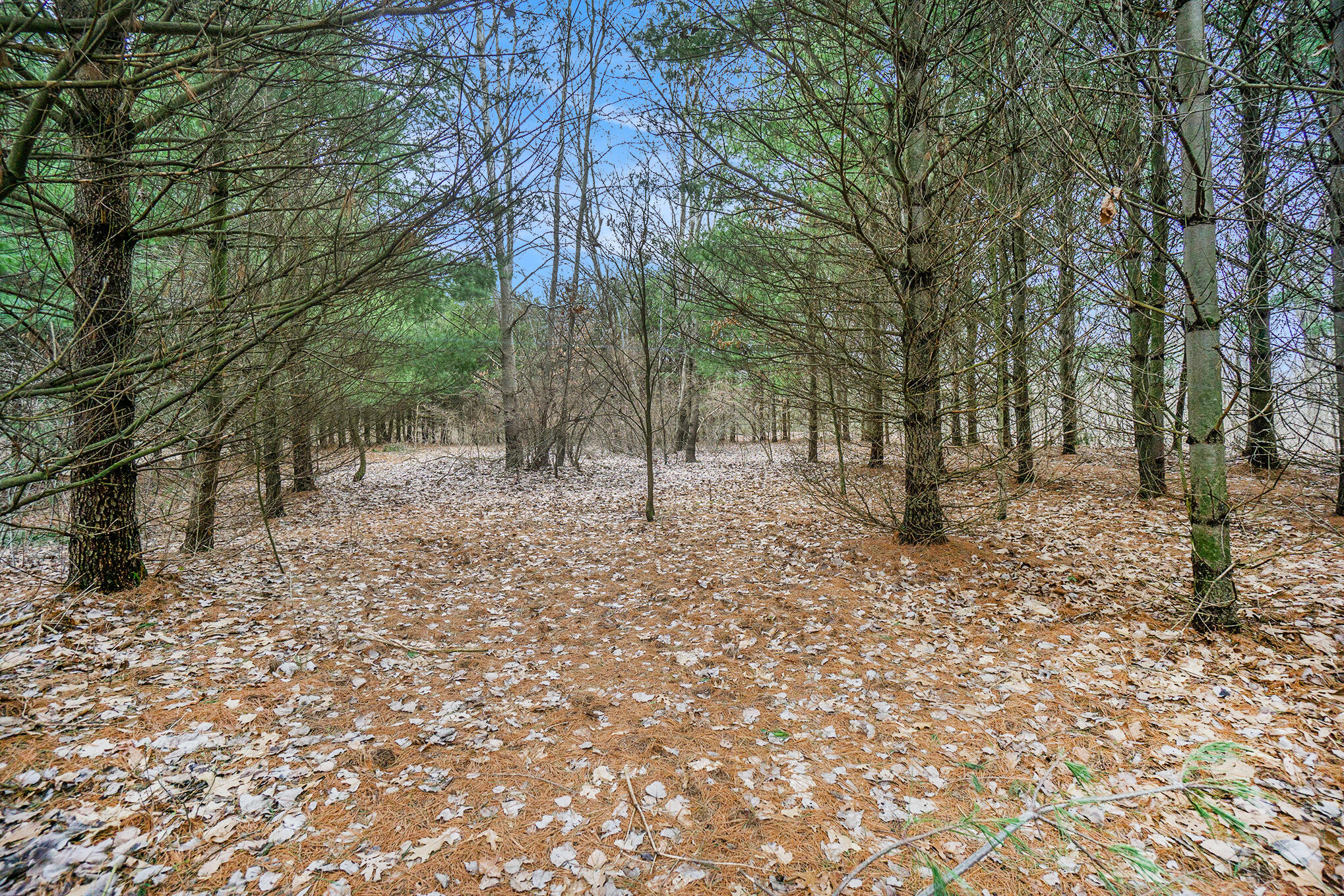 Lot 6 Highfield Road Three Rivers, MI 49093 - Photo 17 of 24 DSC05102