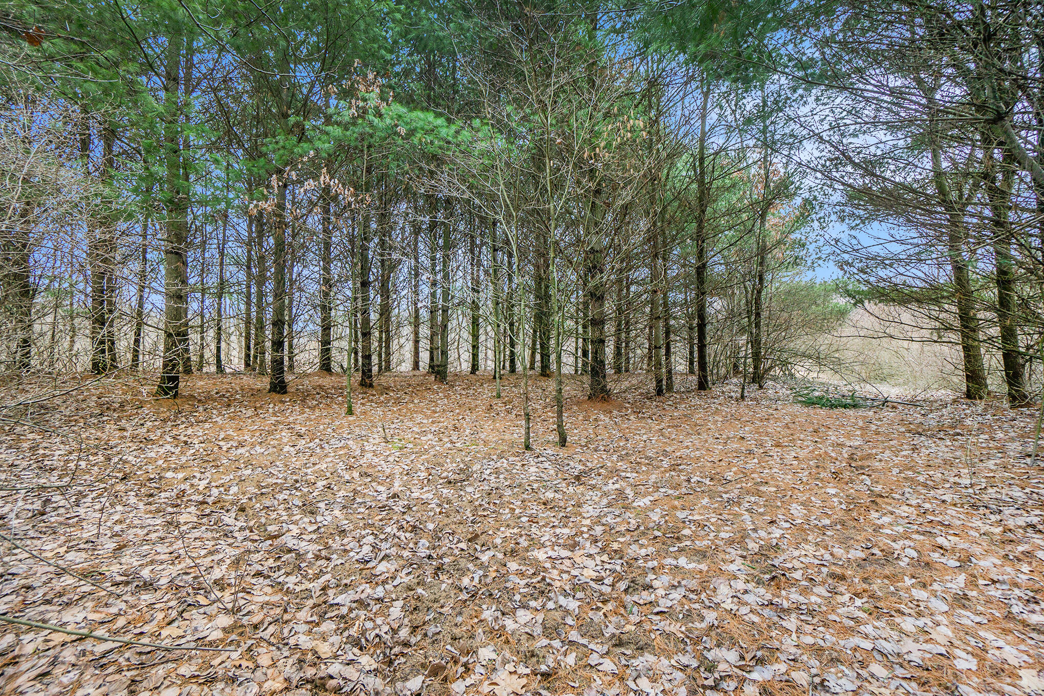 Lot 6 Highfield Road Three Rivers, MI 49093 - Photo 18 of 24 DSC05104