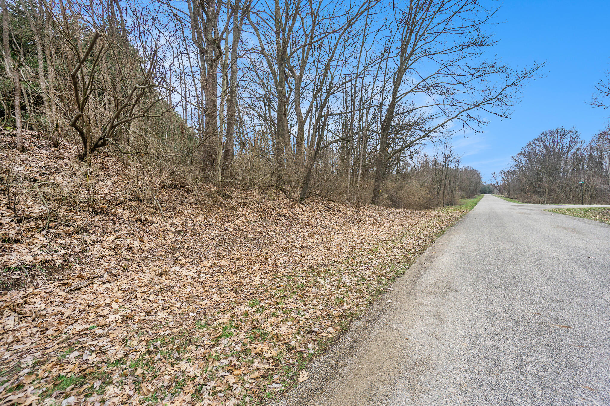 Lot 6 Highfield Road Three Rivers, MI 49093 - Photo 19 of 24 DSC05105