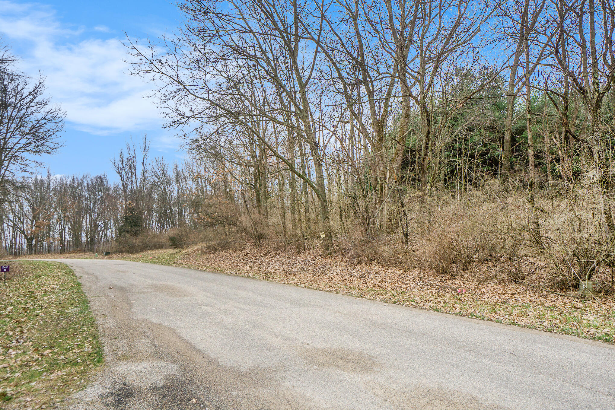 Lot 6 Highfield Road Three Rivers, MI 49093 - Photo 10 of 24 DSC05074