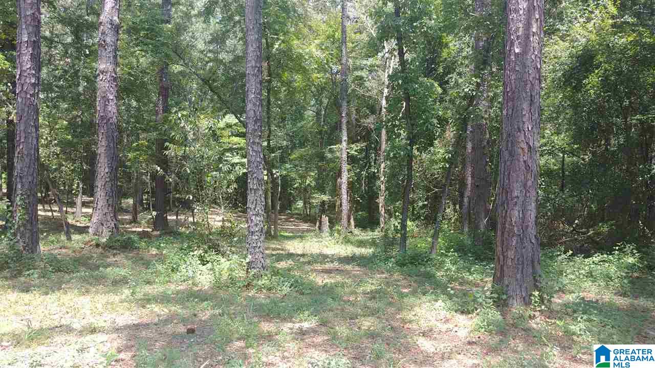 0 Funderburg Bend Road Pell City, AL 35128 - Photo 1 of 3
