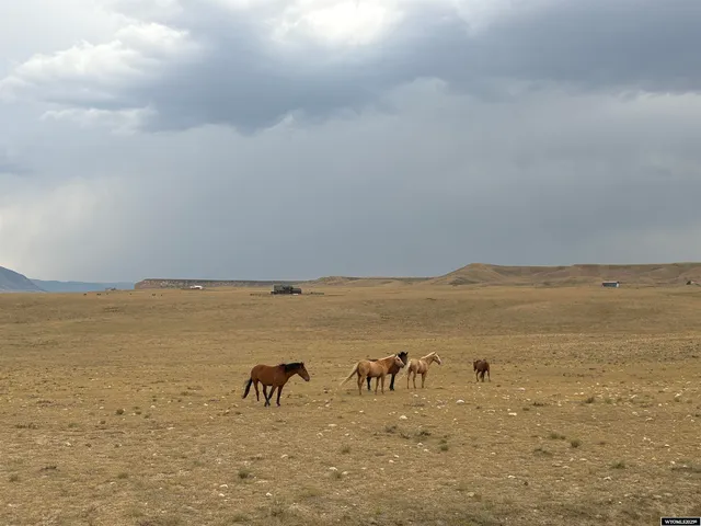 $155,000 | 305 Bighorn Drive, Laramie, WY 82070