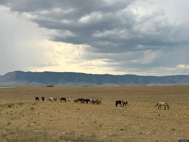 $155,000 | 305 Bighorn Drive, Laramie, WY 82070