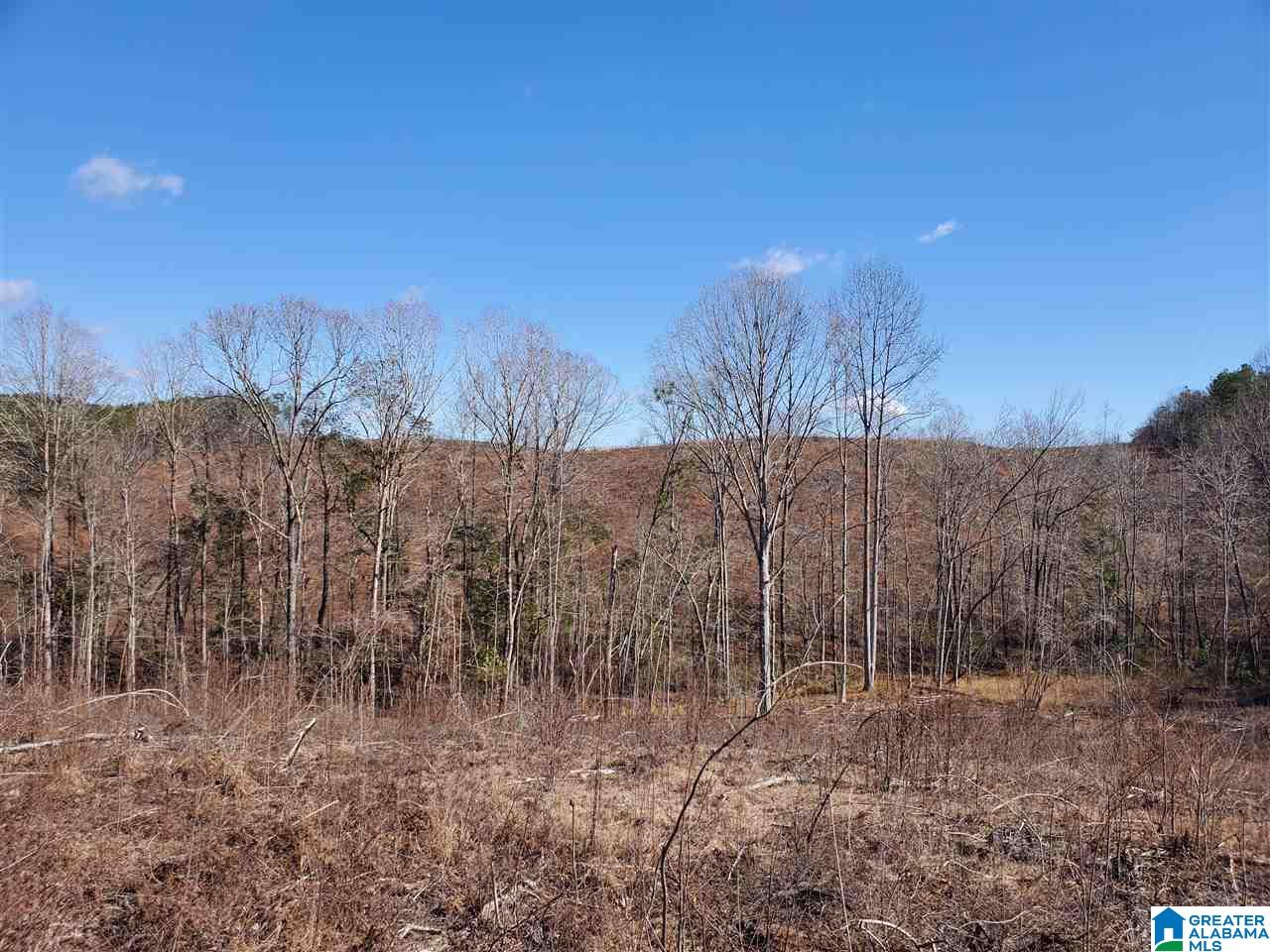 0 Berry Road, Unit 152 Goodwater, AL 35072 - Photo 28 of 30
