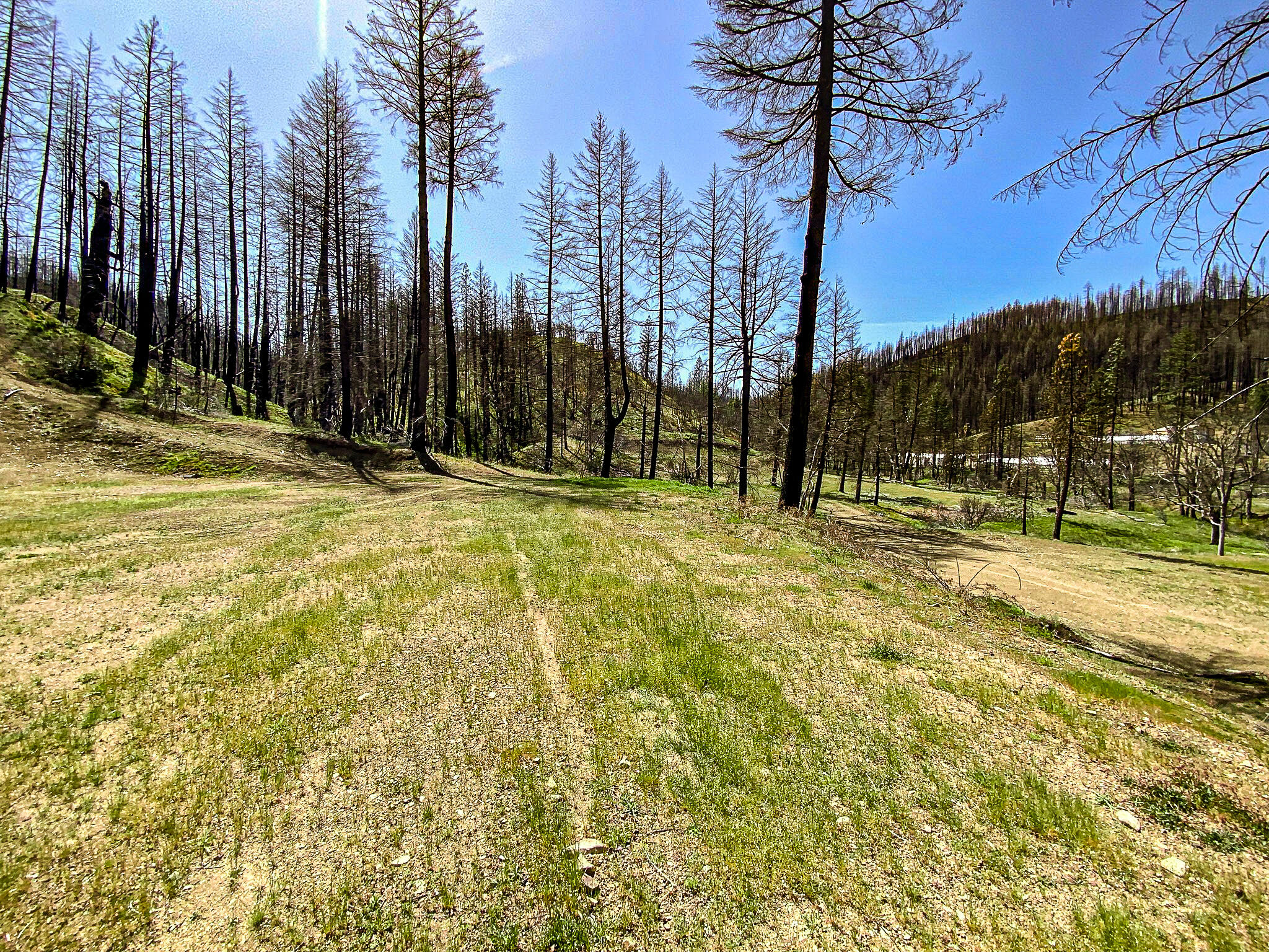 26670 Upper Mad River Road Mad River, CA 95552 - Photo 5 of 21 26670 Mad River Road (3)